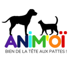 Animoï