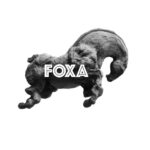 The art of Foxa