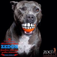 zedogshop